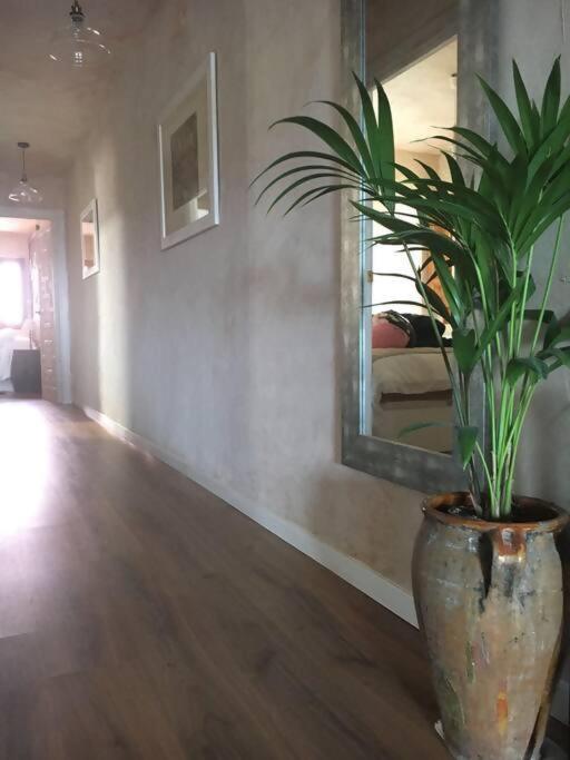 Luxury Danna Plaza Mayor Cuenca  Bagian luar foto